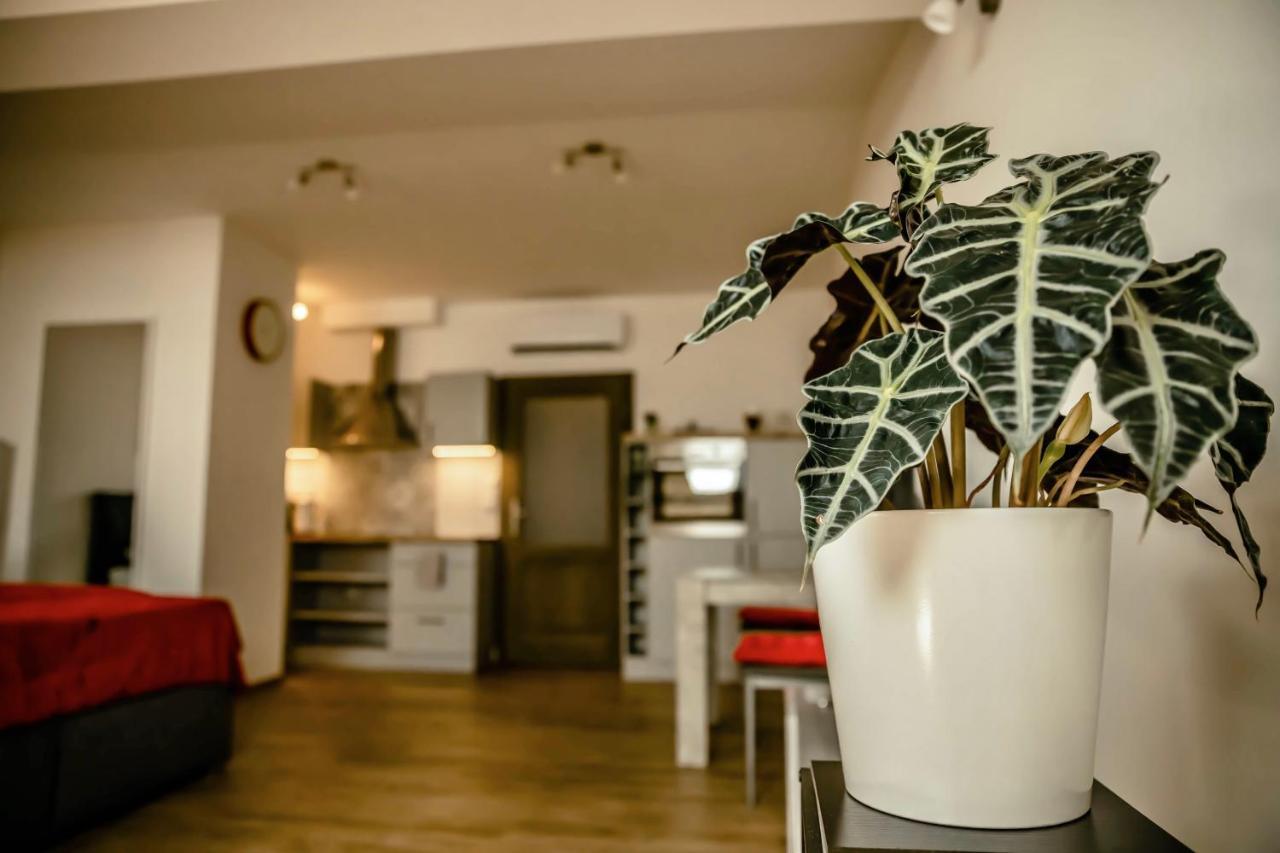 Podkrovni Studio Na Velkem Namesti S Wi-Fi Zdarma Hradec Kralove Bagian luar foto